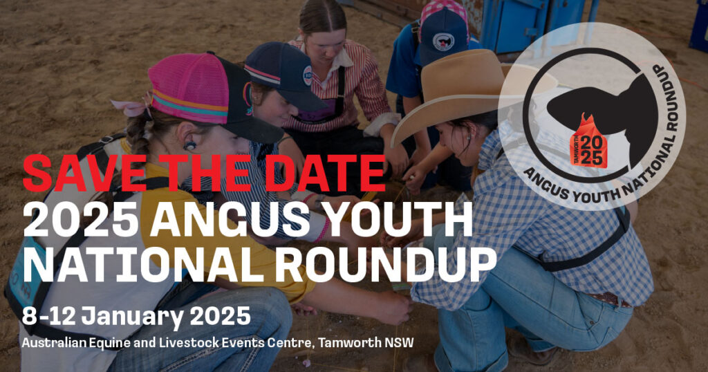 2025 Angus Youth RoundupBanner