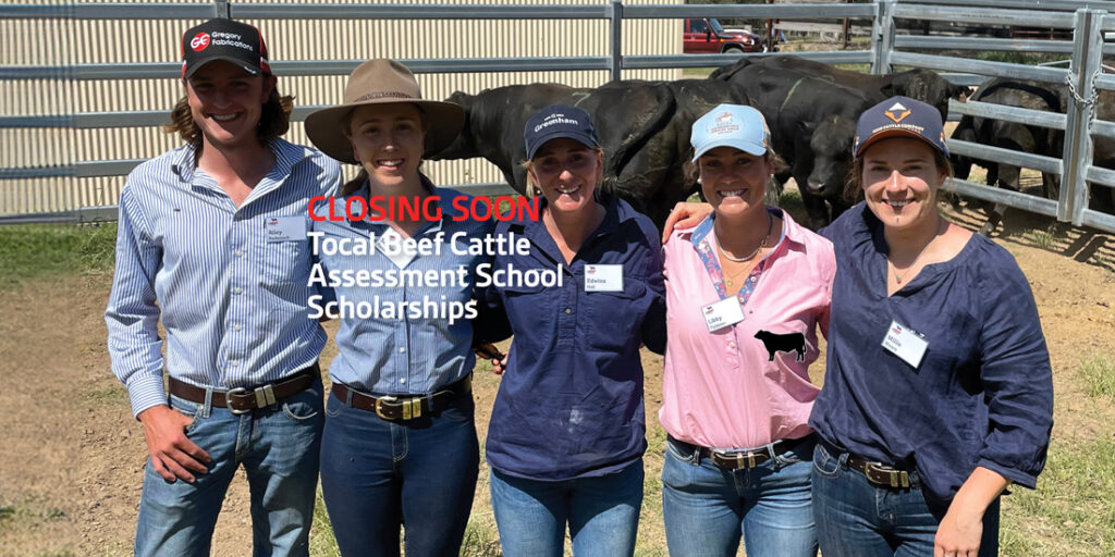 Tocal Beef Cattle Assessment School scholarshipsBanner