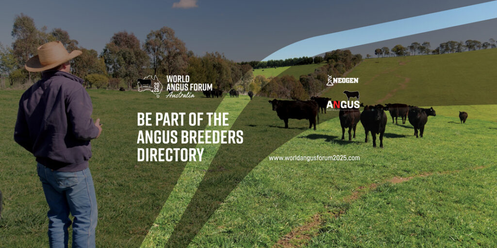 Be part of the Angus Members DirectoryBanner