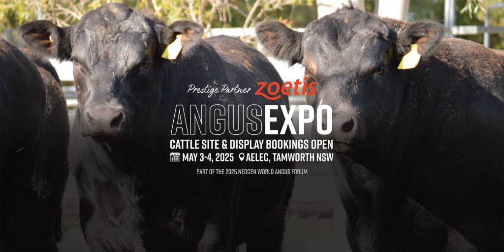 Book your cattle pens & sites for the Zoetis AngusEXPOBanner