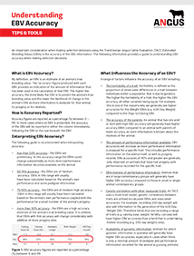 Understanding EBV Accuracy