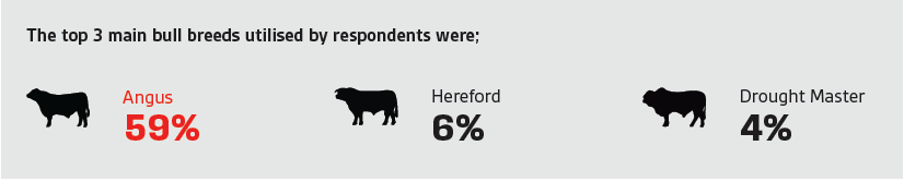 Bull Breed Selection